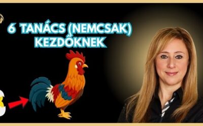 6 TANÁCS KEZDŐKNEK